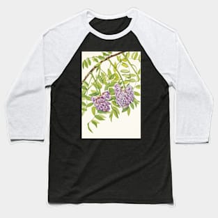 American wisteria - Botanical Illustration Baseball T-Shirt